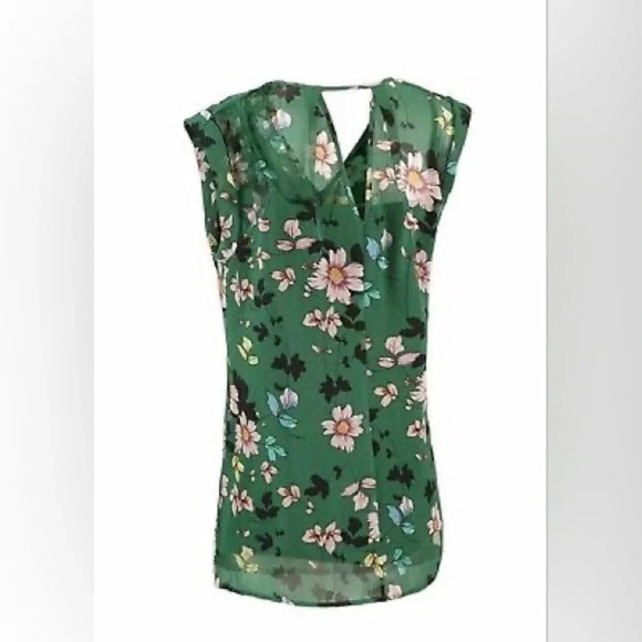 CABI NWOT 3619 Floral Print Sheer V-Neck Blouse in Green - Picture 3 of 8
